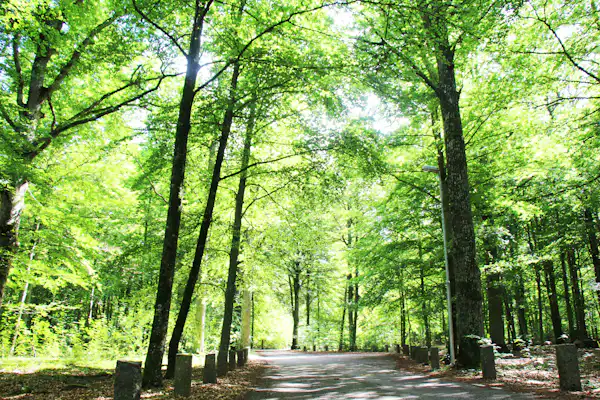 Evedals Camping Växjö