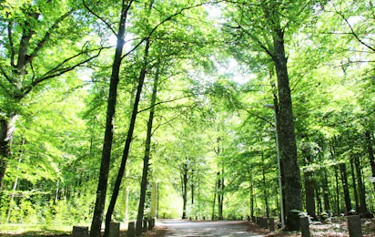 Evedals Camping Växjö
