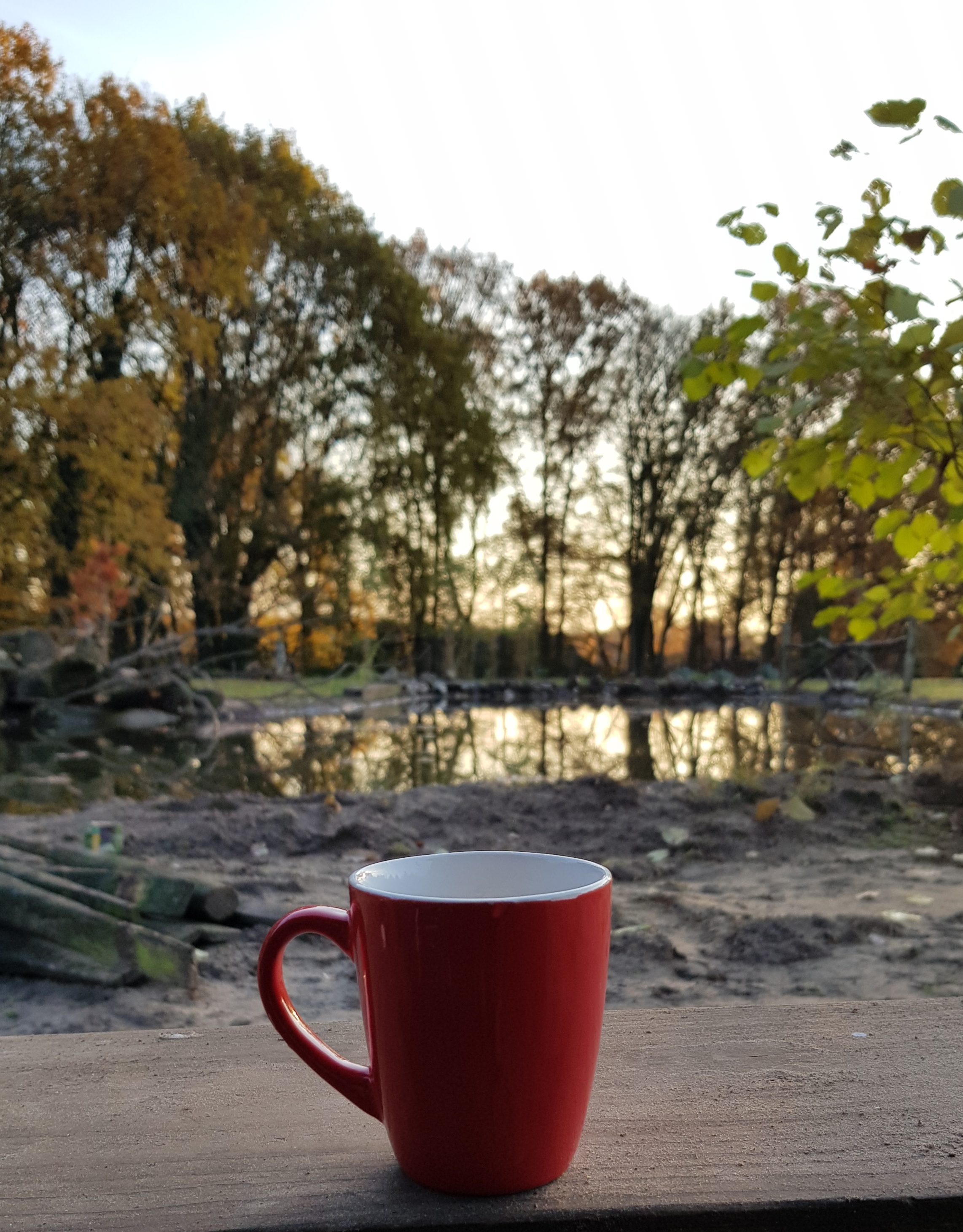 Ezelcamping In ’t Niet