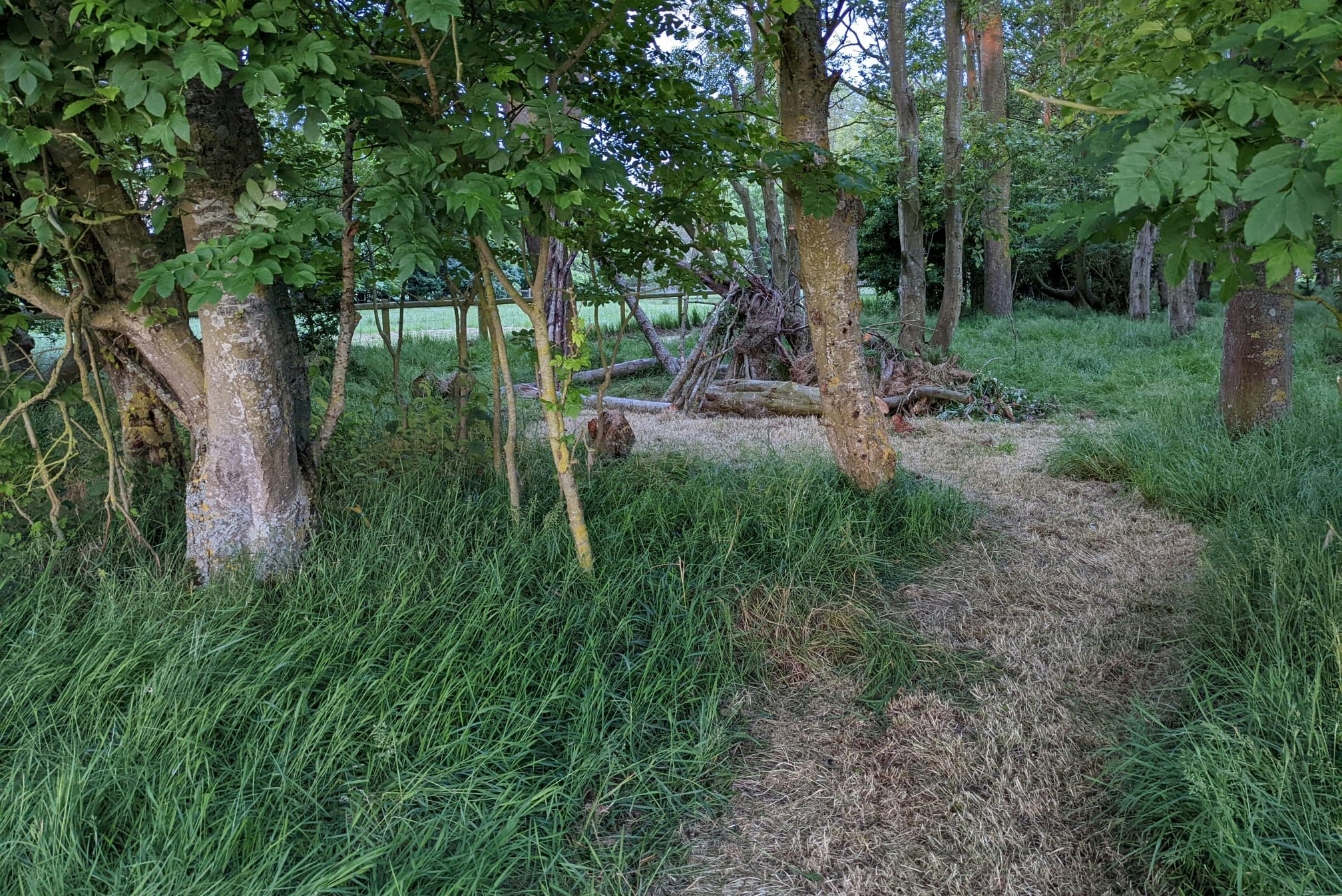 Fallow Fields Lathe Barn - Campingplatz umgeben von Wald