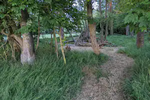 Fallow Fields Lathe Barn - Campingplatz umgeben von Wald