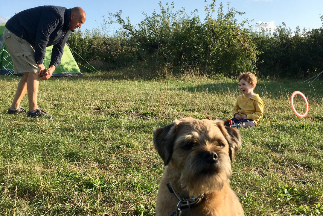 Fallow Fields Selson Farm - Familien- und hundefreundlicher Campingplatz