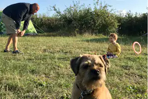 Fallow Fields Selson Farm - Familien- und hundefreundlicher Campingplatz