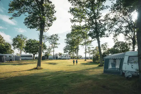 Falsled Strand Camping