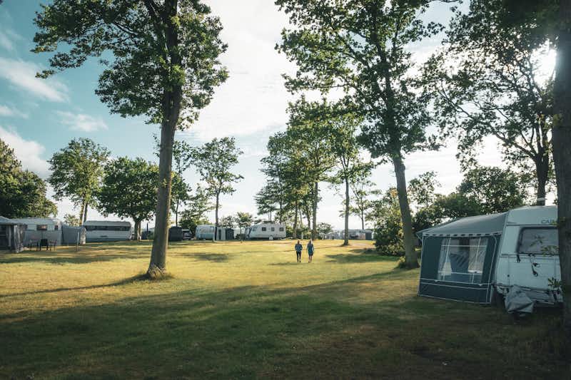 Falsled Strand Camping - Gäste auf der Stellplatzwiese unter den Bäumen