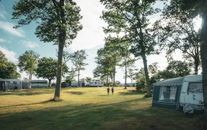 Falsled Strand Camping