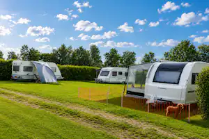 Wohnwagen und Zelt auf einer Campingwiese, mit Hecken und Grasweg zwischen den Stellplätzen.