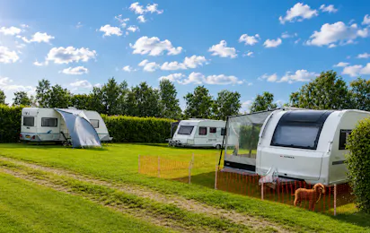 Falster Camping MOJO