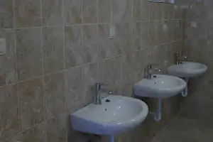Mehrere Waschbecken in einem Sanitärraum mit hellen Wandfliesen, Spiegeln und Fenstern unter Holzdecke.