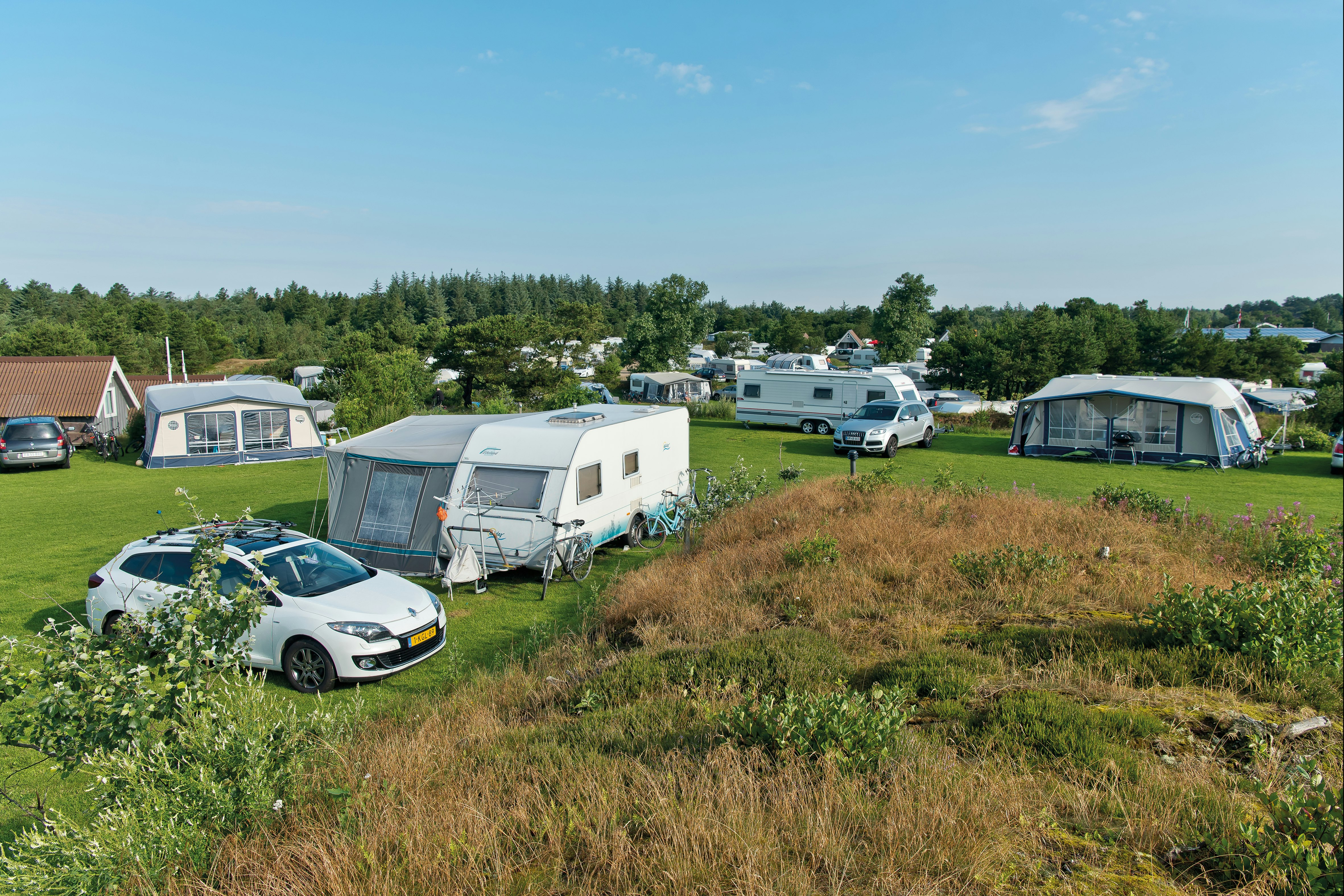 Familie Camping Nymindegab - Standplätze auf der Wiese
