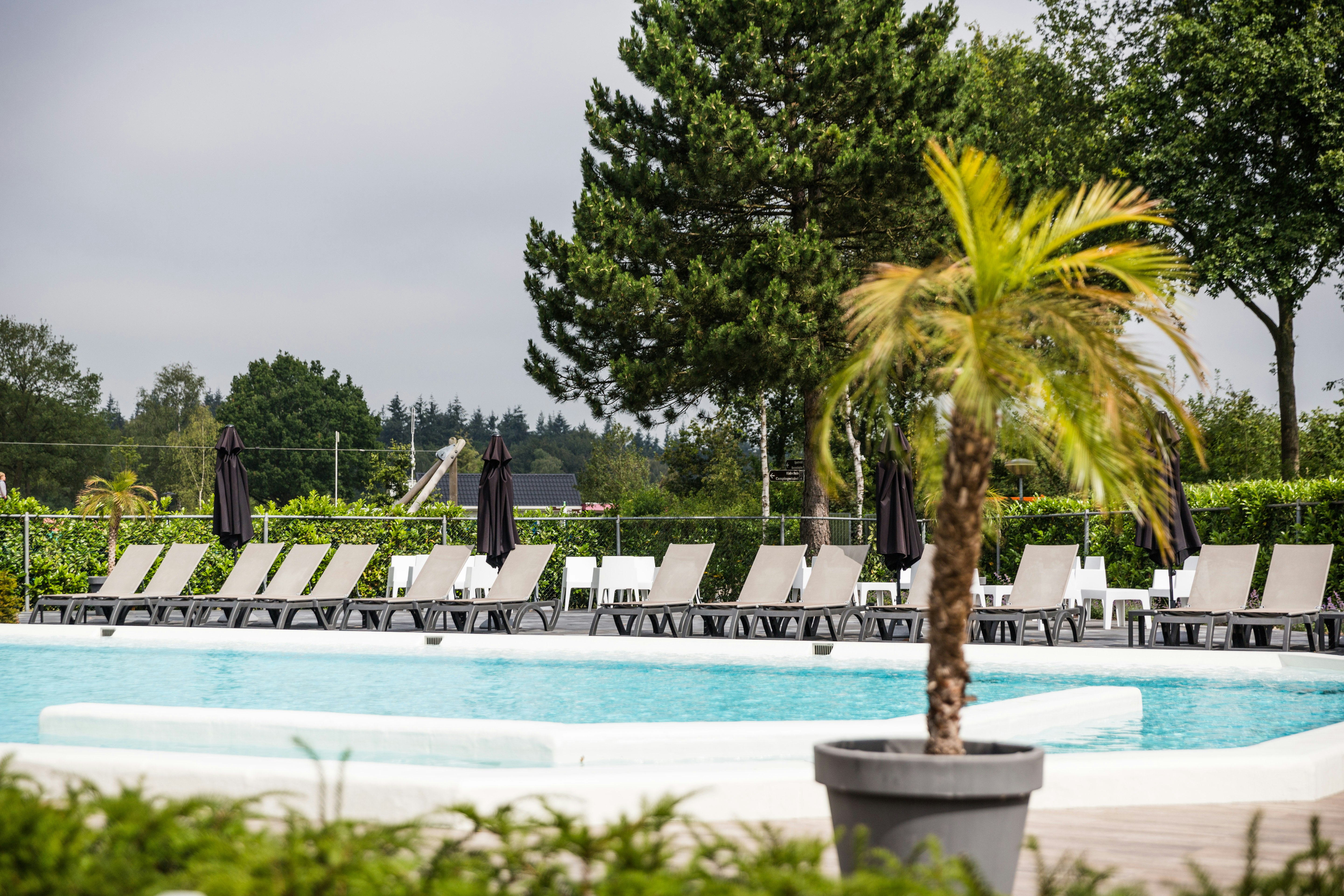 Familiecamping De Belten - Pool mit Liegestühlen und Sonnenschirmen auf dem Campingplatz