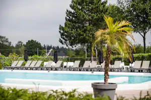 Familiecamping De Belten - Pool mit Liegestühlen und Sonnenschirmen auf dem Campingplatz