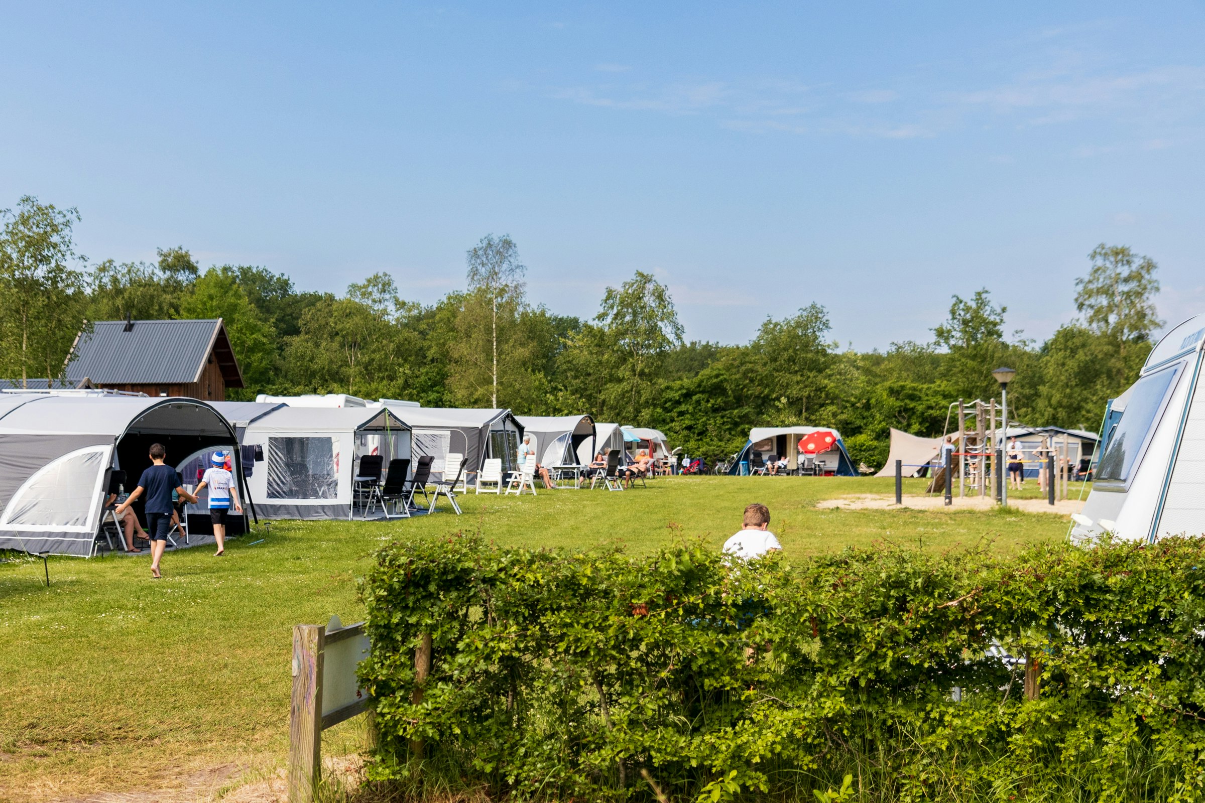 Familiecamping De Vossenburcht - Standplatzwiese auf dem Campingplatz