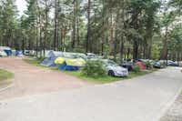 Familienpark Senftenberger See -  Zeltplätze umringt von Wald