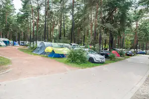 Familienpark Senftenberger See - Zeltplätze umringt von Wald