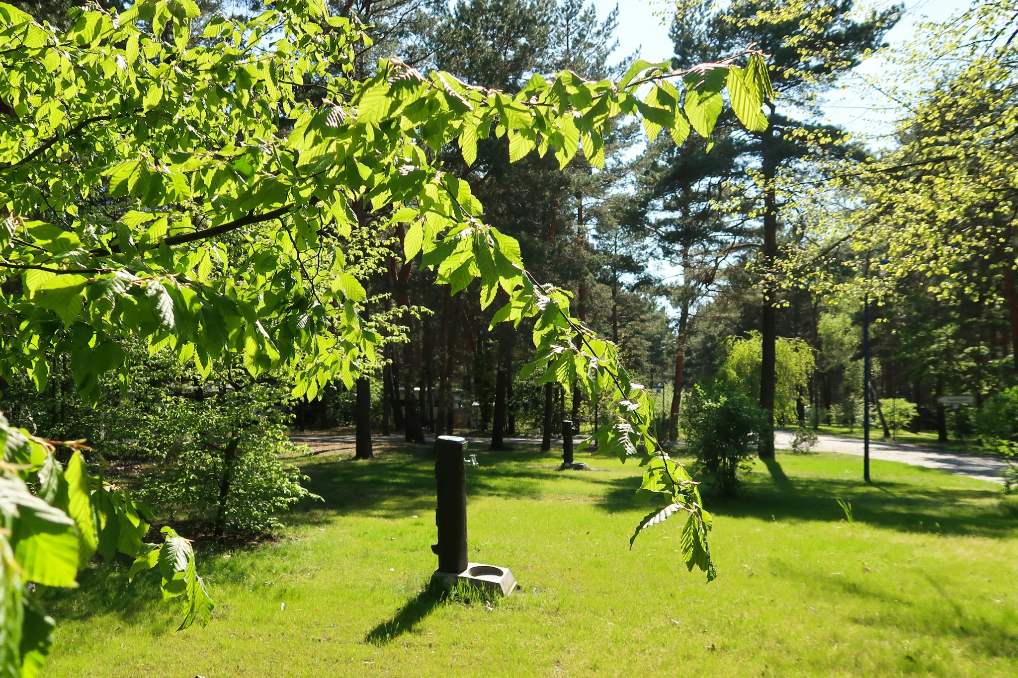 Familienpark Senftenberger See - Wohnmobil- und  Wohnwagenstellplätze auf der Wiese