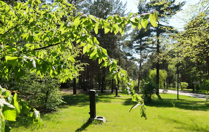 Familienpark Senftenberger See