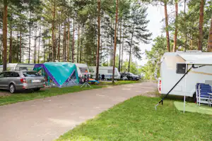 Familienpark Senftenberger See - Stellplätze im Schatten unter Bäumen auf dem Campingplatz