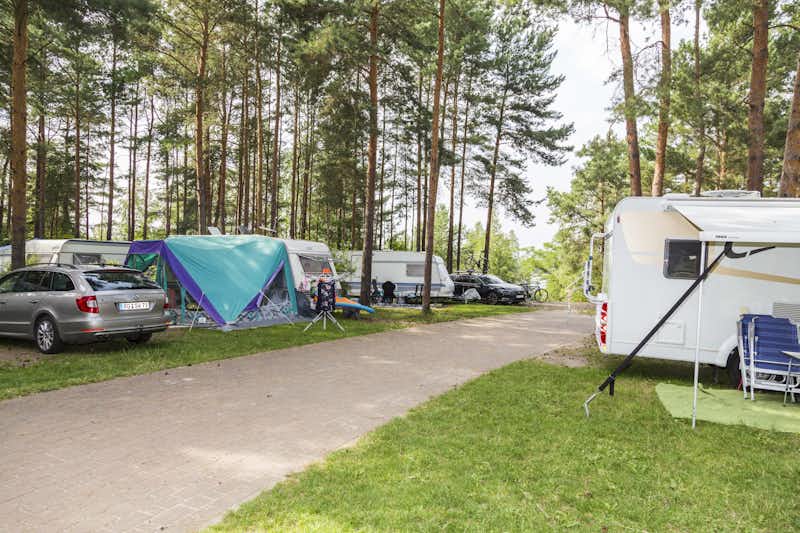 Familienpark Senftenberger See - Stellplätze im Schatten unter Bäumen auf dem Campingplatz