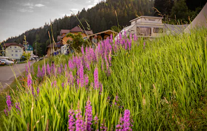 Family-Resort Kleinenzhof