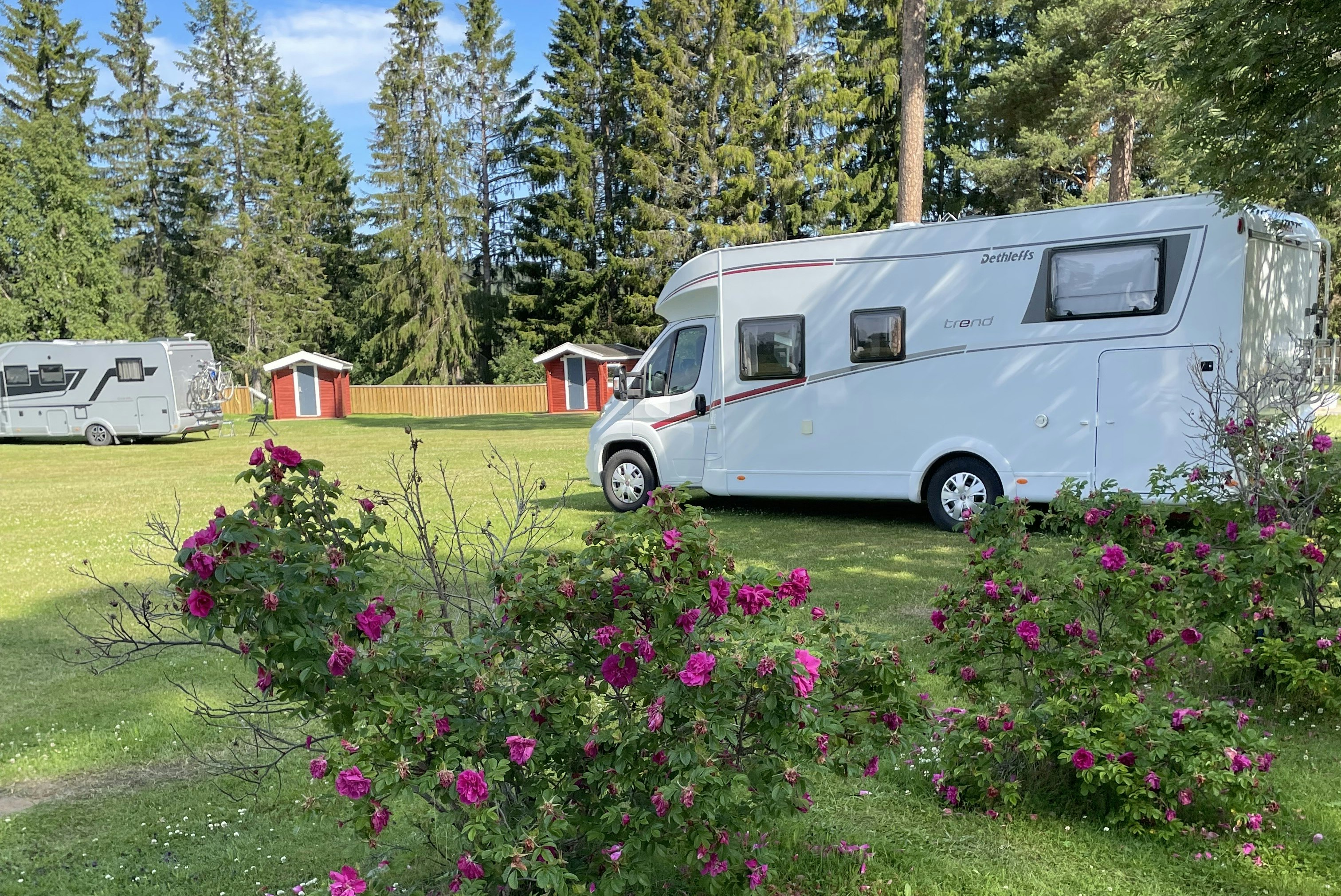 Färilaparken Camping - Standplätze auf der Wiese auf dem Campingplatz