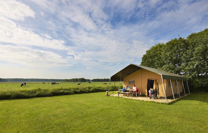 FarmCamps 't Looveld