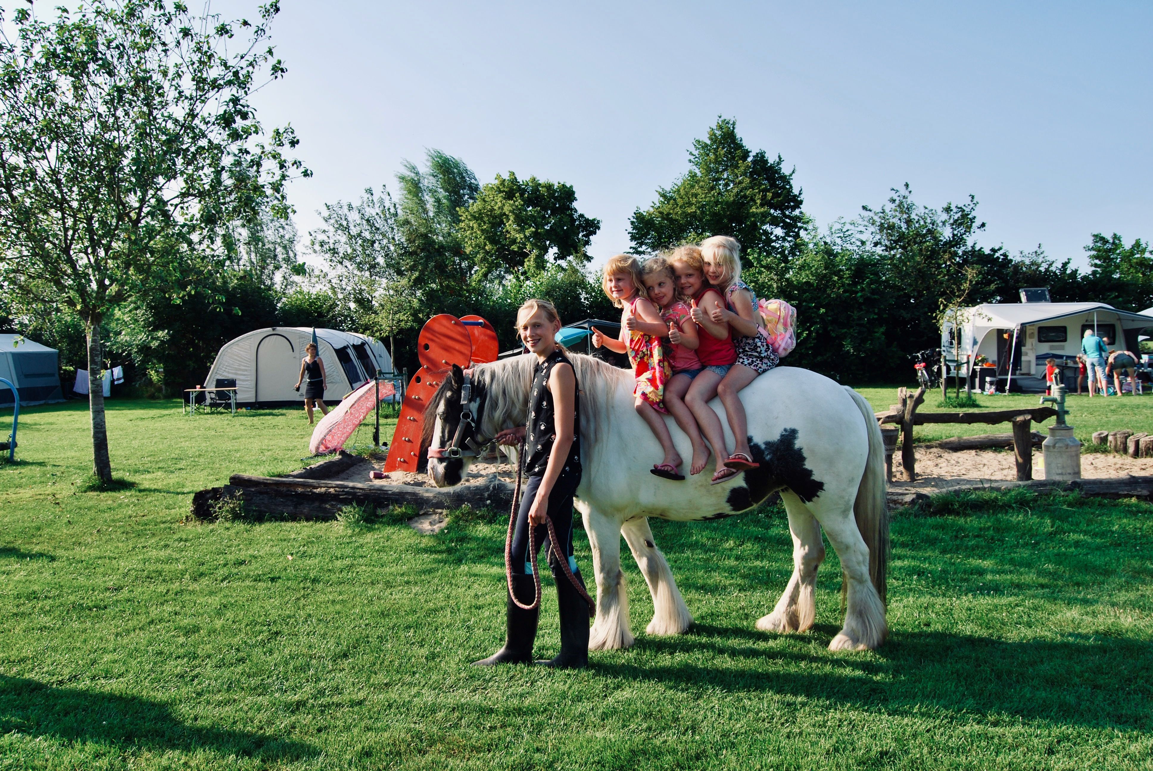 Camping ‘t Oortjeshek