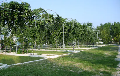 Agricampeggio Gelindo dei Magredi