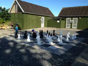 Tangloppen Camping