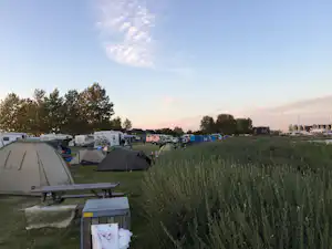 Tangloppen Camping