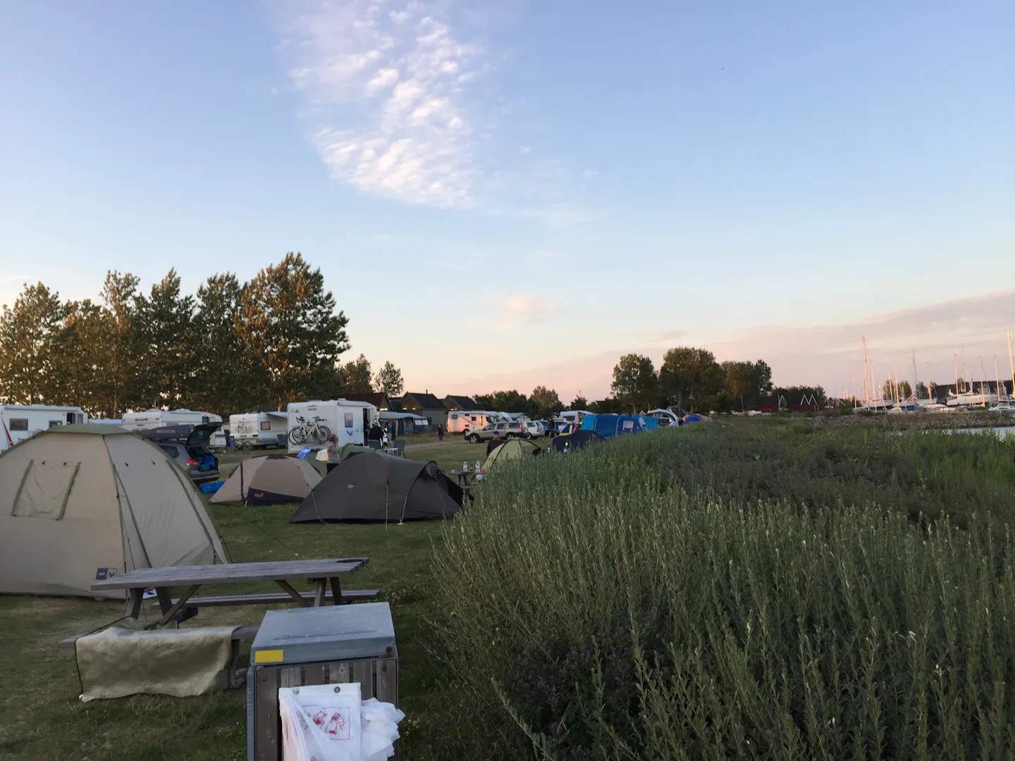 Tangloppen Camping