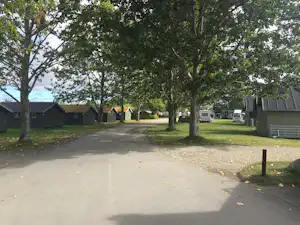 Tangloppen Camping