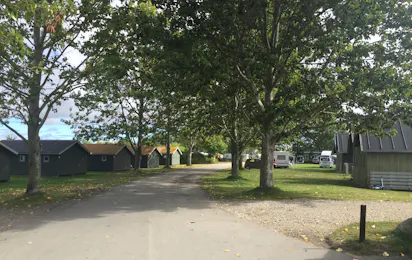 Tangloppen Camping
