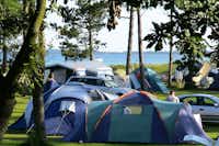 Feddet Camping  Feddet Strand Camping & Feriepark -  Zeltstellplätze und Wohnwagenstellplätze im Grünen auf dem Campingplatz