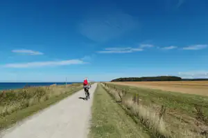 Ferien-Camp Börgerende - Radfahren am Deich in der Umgebung vom Campingplatz