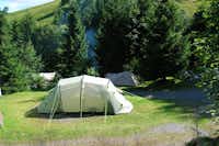 Feriencamping Hochschwarzwald - Campingbereich für Zeltplatz unter Bäumen