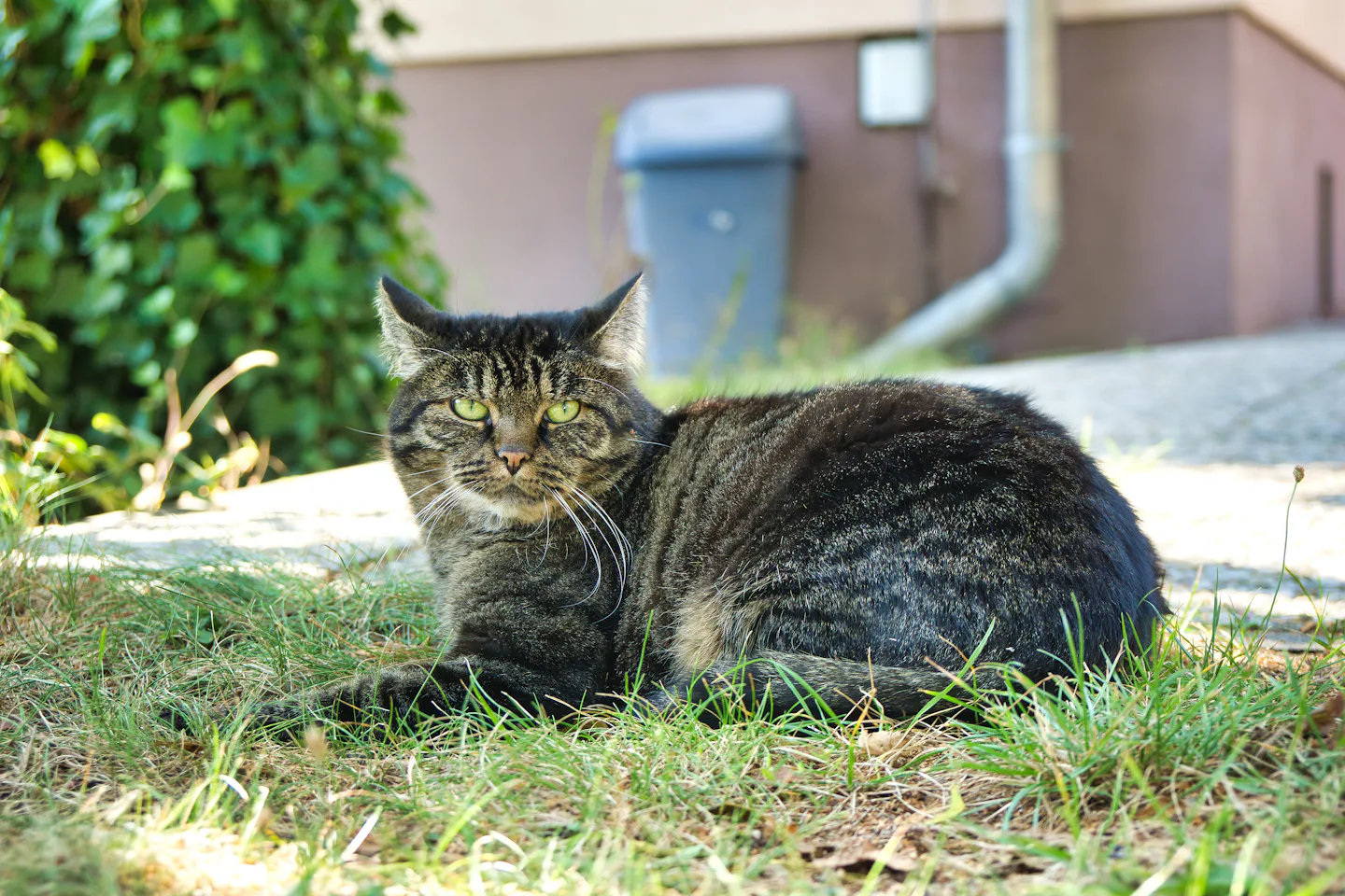 Ferienhof Altglobsow