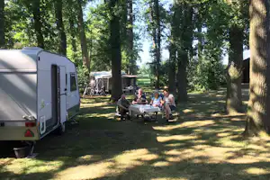 Ferienhof BrinkOrt - Wohnmobil- und Wohnwagenstellplätze im Schatten der Bäume