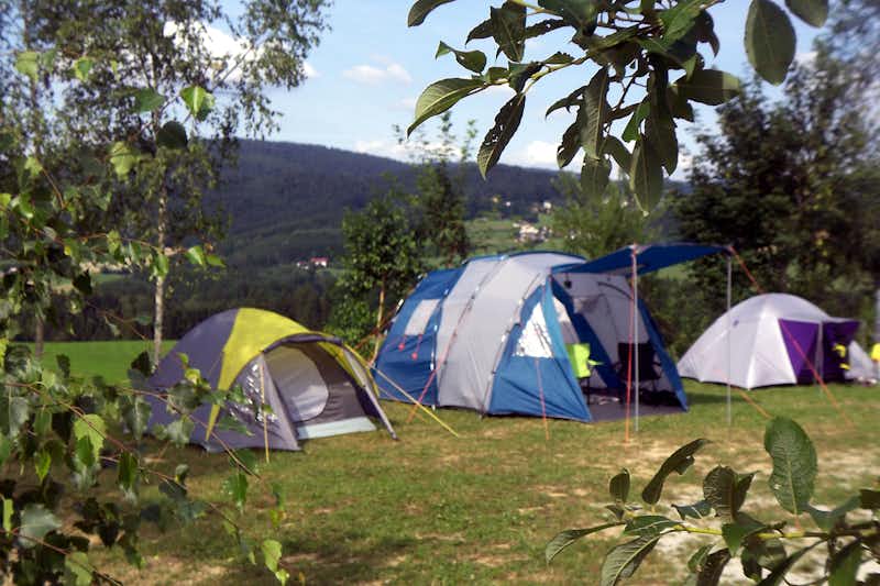Ferienhof Schiermeier - Standplätze mit Zelten umringt von Bäumen mit Blick auf die hügelige Landschaft