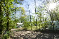 Ferienpark BreeBronne - Wohnmobil- und  Wohnwagenstellplätze im Schatten der Bäume auf dem Campingplatz