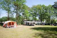 Ferienpark BreeBronne - Zeltwiese und Stellplätze im Schatten der Bäume