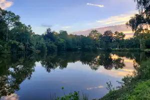 Ruhiger See mit Spiegelung im Wasser, umgeben von Bäumen und grünem Ufer, im Abendlicht.