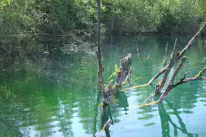 Ferienpark Kreidesee - Blick auf den See