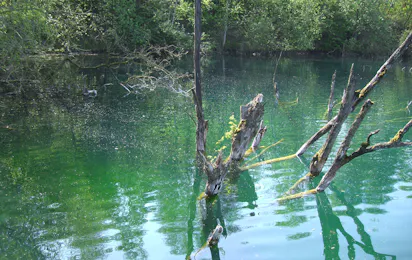 Campingplatz Kreidesee