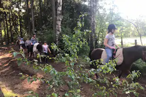 Reitergruppe auf Pferden im Waldweg, neben Bäumen und Sträuchern, ein Pferd mit Sattel im Vordergrund.