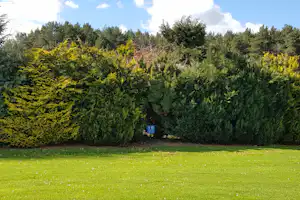 Weite grüne Wiese am Campingplatz, umgeben von dichtem Baum- und Strauchbewuchs, im Hintergrund ein kleiner Weg.