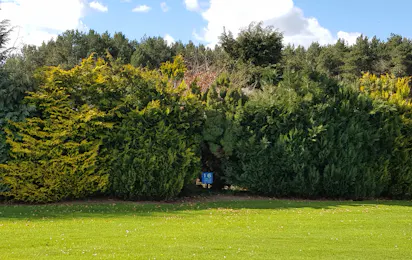 Feughside Caravan Park