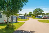 First Camp Ekerum – Öland - Standplätze auf dem Campingplatz