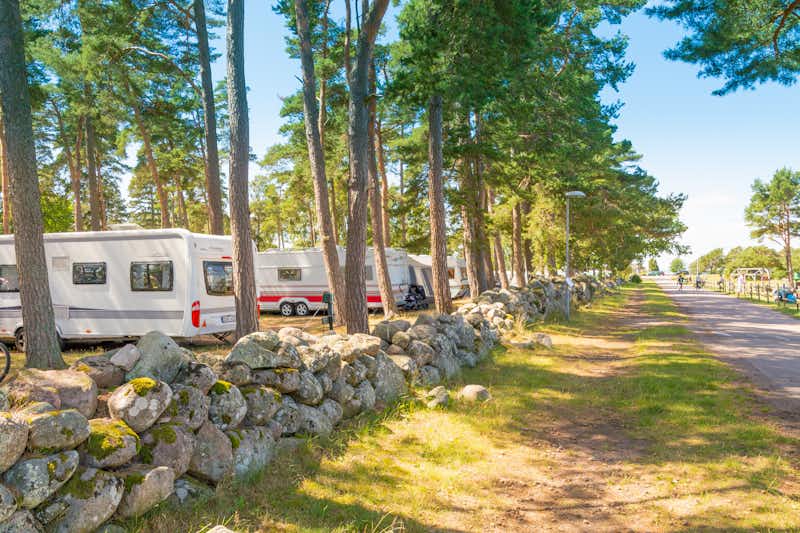 First Camp Ekerum – Öland - Standplätze umgeben von Bäumen