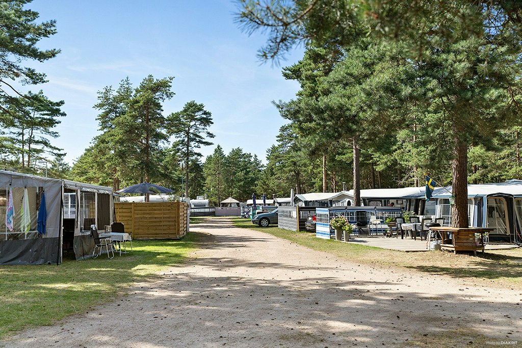 Campingplatz mit Wohnwagen und Vorzelten, gepflasterter Fahrgasse und Sitzgruppen zwischen hohen Nadelbäumen.